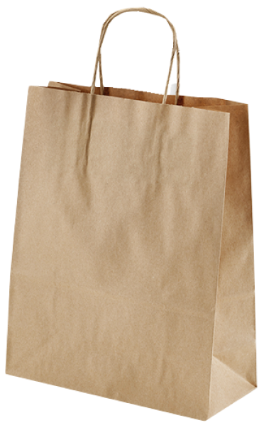 paper handle bag - 22+10x28  cm